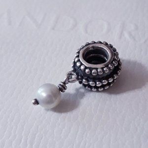 Pandora spacer charm